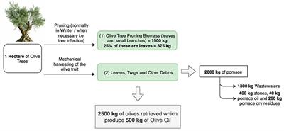 Olive Leaf Waste Management